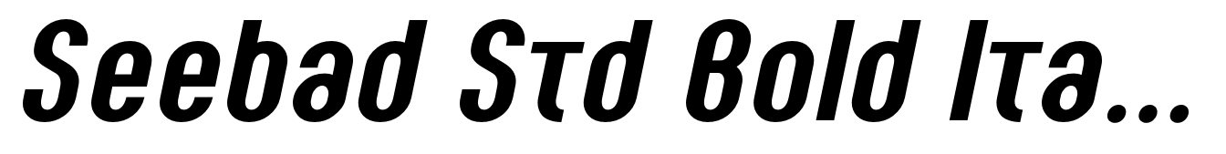 Seebad Std Bold Italic